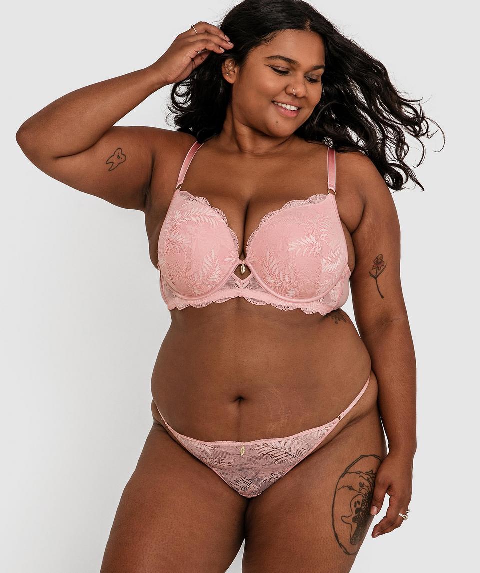 Fern Mini V - Rose