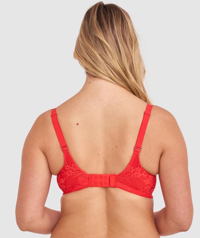 Body Bliss Lace Full Cup Bra - Red