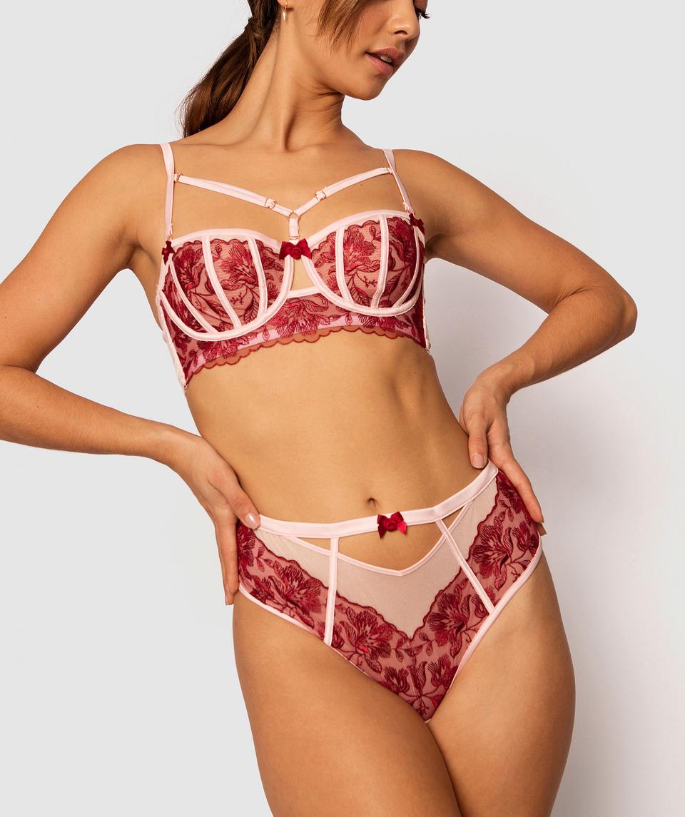 Enchanted Brescia High Waisted V String Knicker - Pale Pink/Dark Red