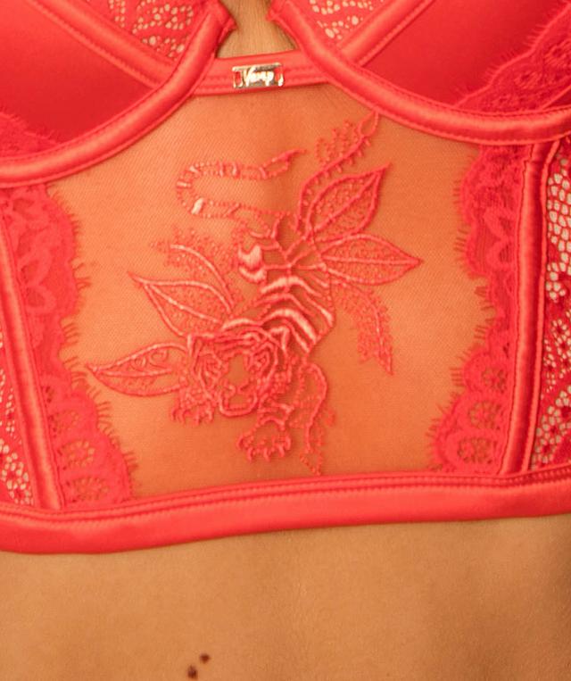 Vamp Wild Thoughts Push Up Bra - Red/Nude